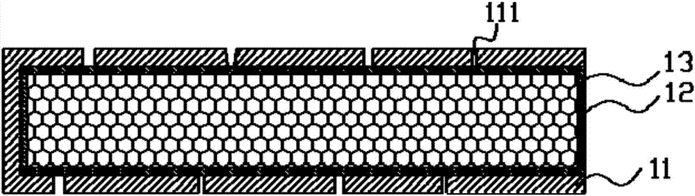 Transverse pollutant-removing biological pipe applied to remediation of polluted underground water