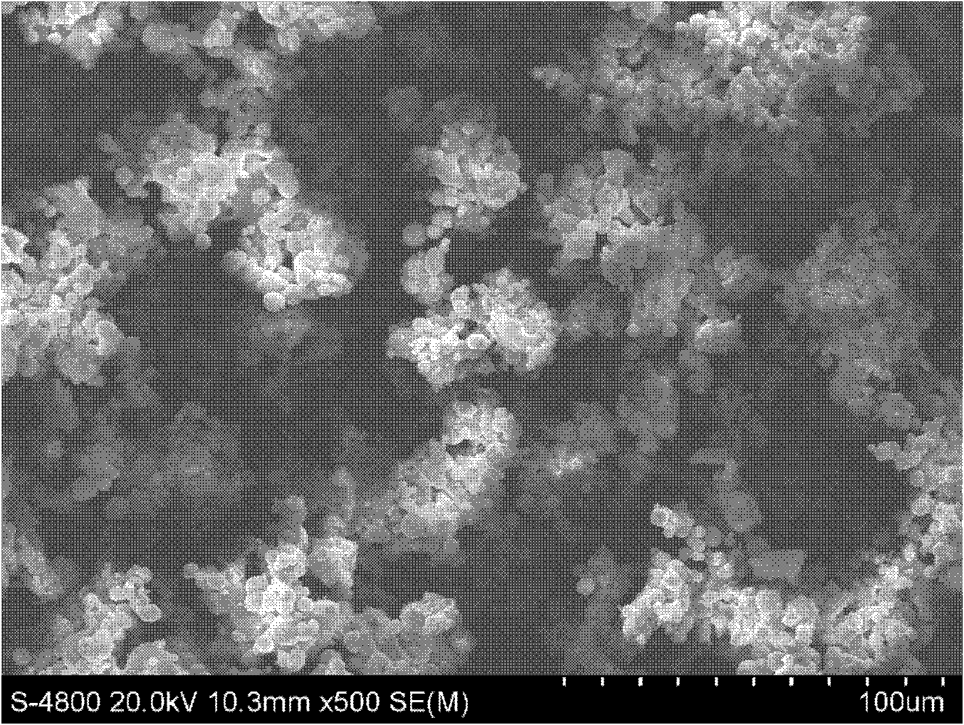 Biomedical material having porous calcium phosphate-collagen composite coating and preparation method of biomedical material