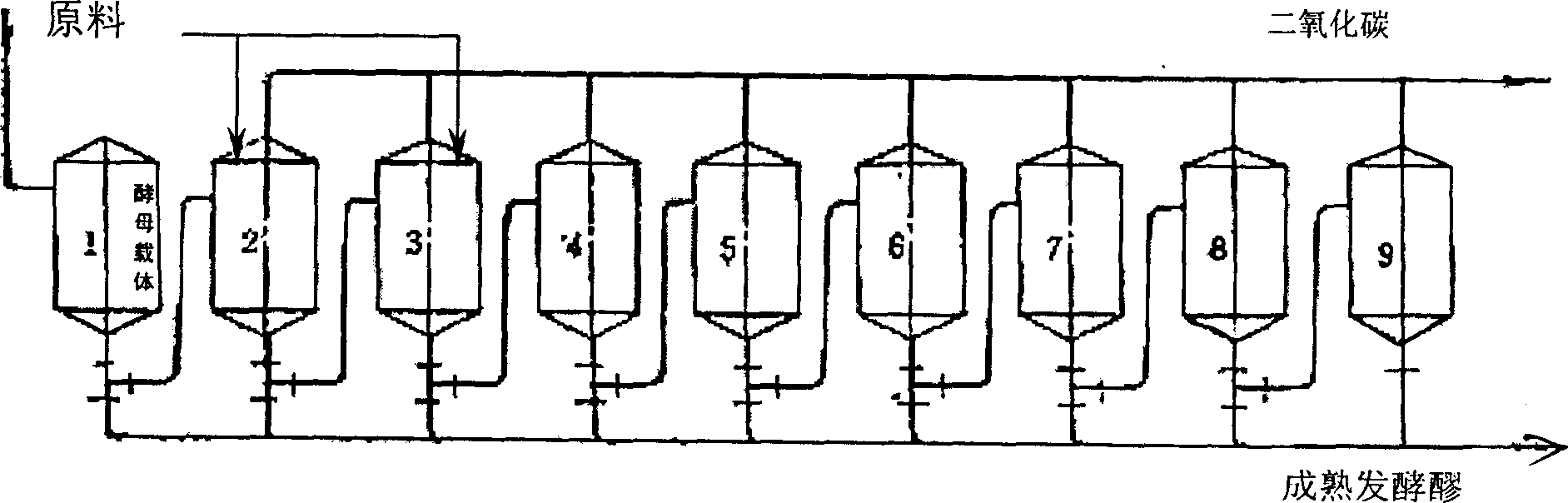 Production of alcohol by fermenting by yeast tolerant to high concentrated sugar and alcohol