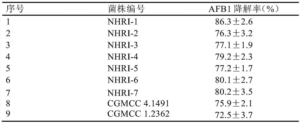 Uses of rhodococcus erythropolis in degradation of aflatoxin B1 in feed or raw materials of the feed