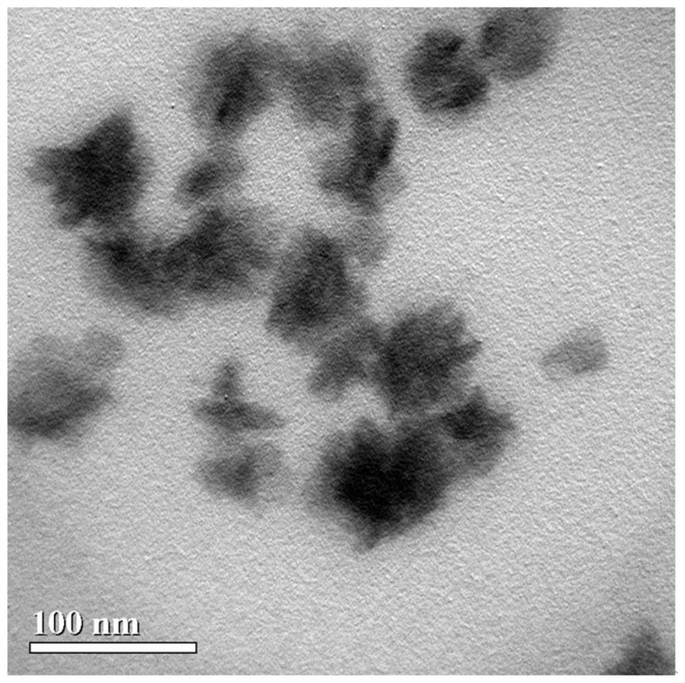 Oxygen-deficient iron molybdenum oxide flower-like nanoparticles for diagnosis and treatment integration as well as preparation method and application of oxygen-deficient iron molybdenum oxide flower-like nanoparticles