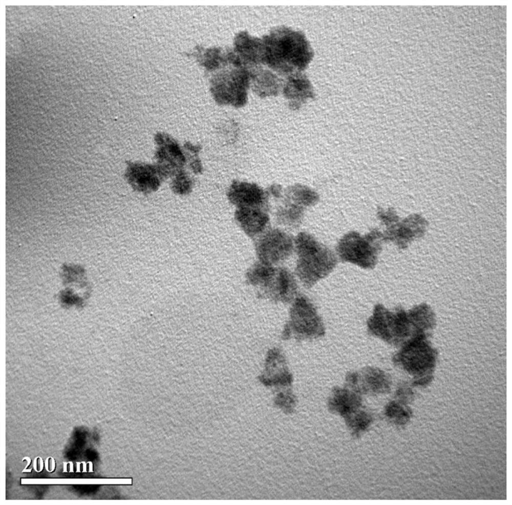 Oxygen-deficient iron molybdenum oxide flower-like nanoparticles for diagnosis and treatment integration as well as preparation method and application of oxygen-deficient iron molybdenum oxide flower-like nanoparticles