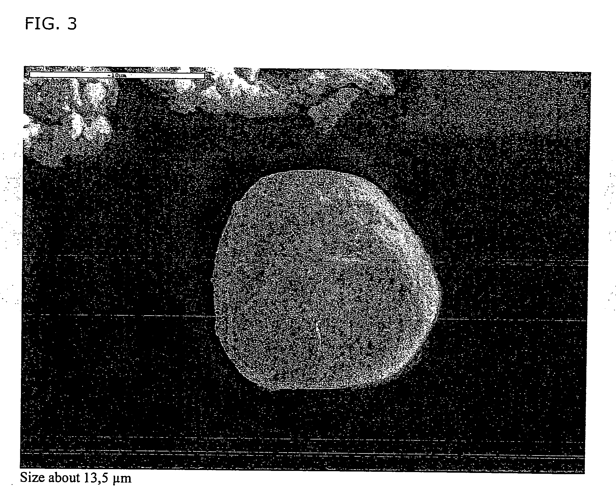 Pharmaceutical porous particles