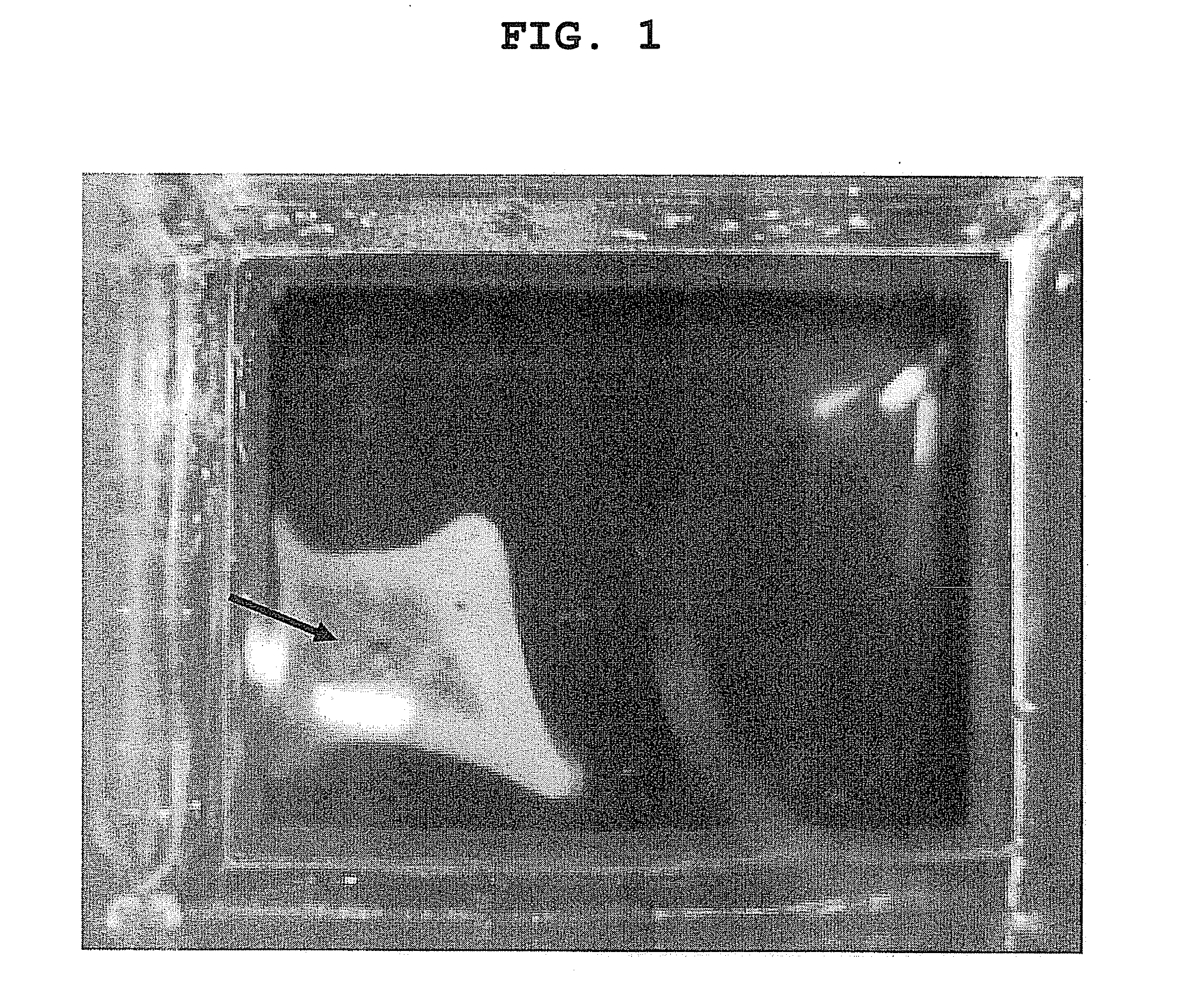 Method for producing cell sheet
