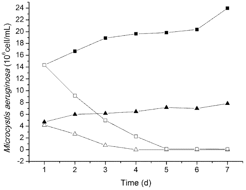 Method of removing bloom-forming cyanobacteria by using Aeromonas sp.