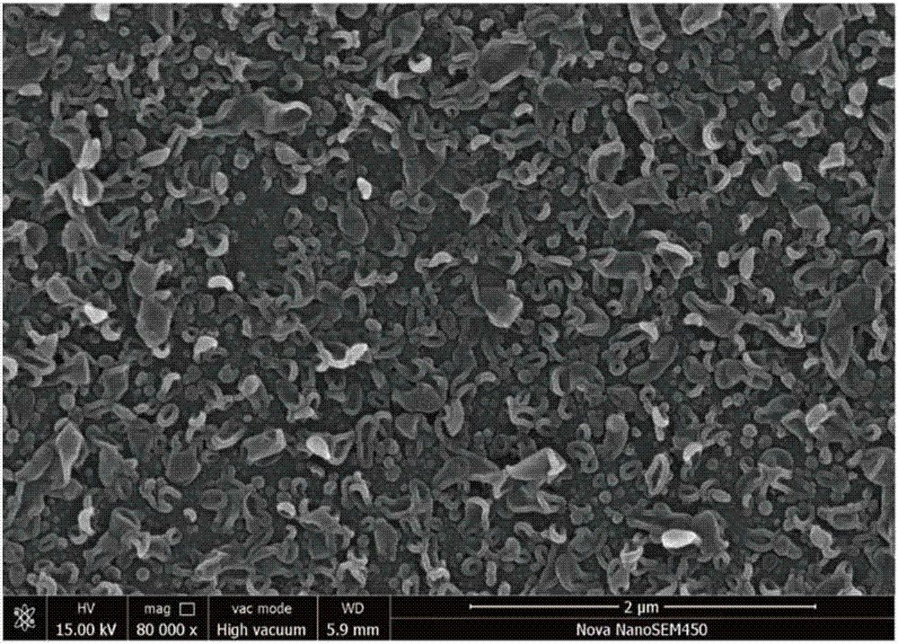 High-flux anti-pollution polyamide composite reverse osmosis membrane and preparation method thereof