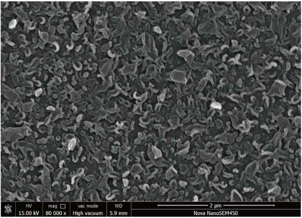 High-flux anti-pollution polyamide composite reverse osmosis membrane and preparation method thereof