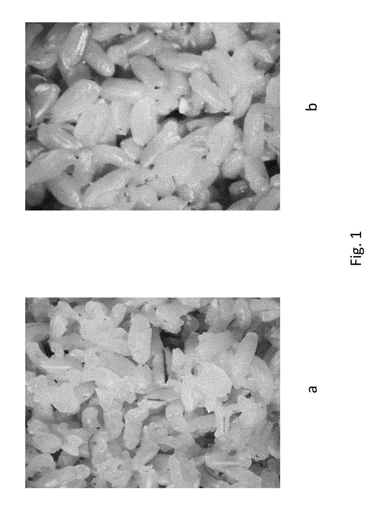 Method for Improving the Cooking Quality of Brown Rice by Lactic Acid Bacteria Fermentation