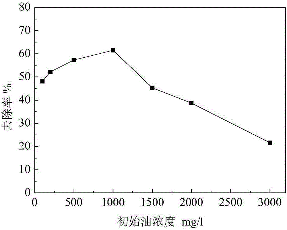 Petroleum hydrocarbon degradation bacterium and application thereof