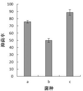 Trichoderma harzianum and application thereof