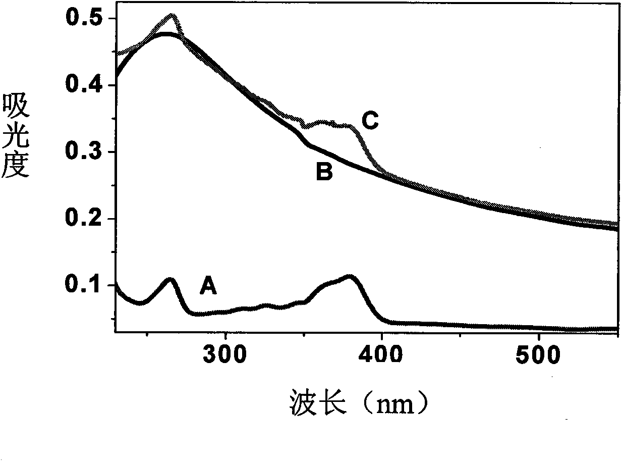 Preparation method and application of functionalized nano-carbon tube anti-neoplastic drug carrier