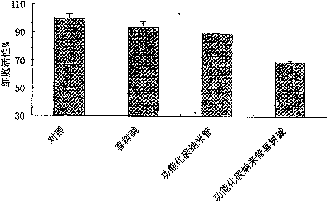 Preparation method and application of functionalized nano-carbon tube anti-neoplastic drug carrier