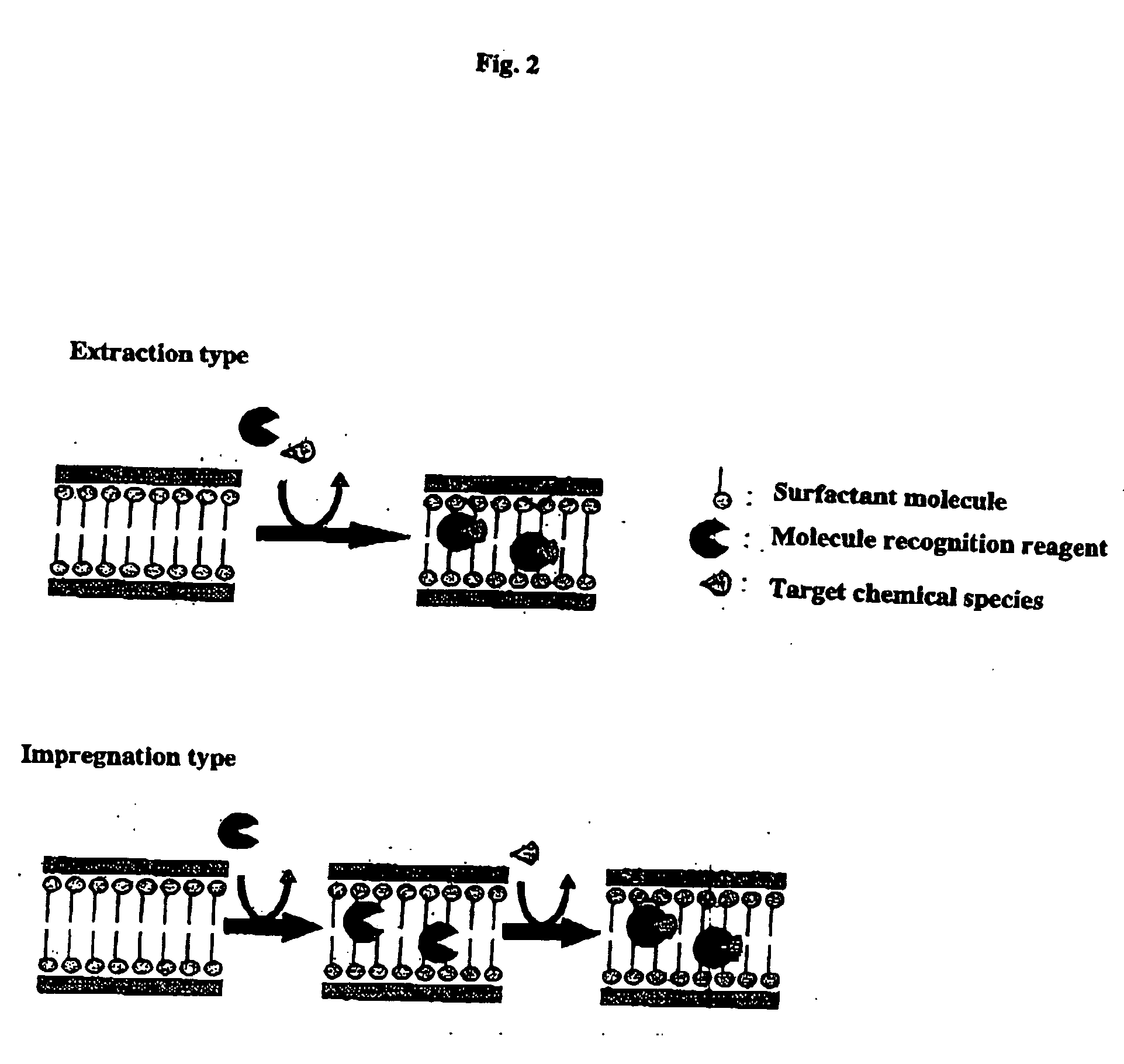 Crystal oscillator nanochannel sensor