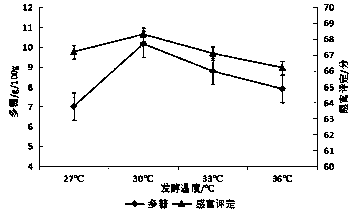 Fermented singli roxbrugh rose fruit and hericium erinaceus drink and preparation method thereof