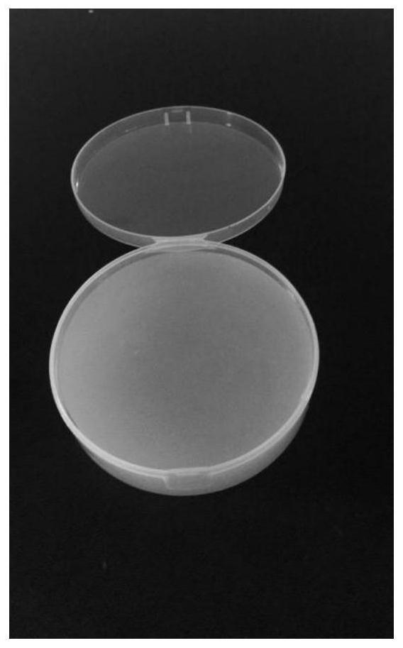 A kind of attapulgite-based air purification slow-release gel and preparation method and application thereof