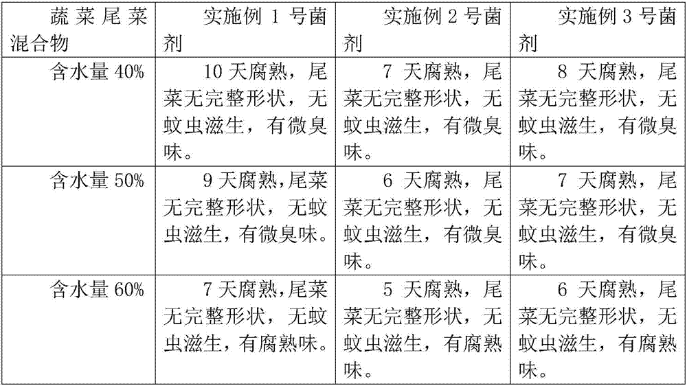 Special microbial composite bacteria agent for innocent treatment of residual vegetable waste and preparation method of special microbial composite bacteria agent