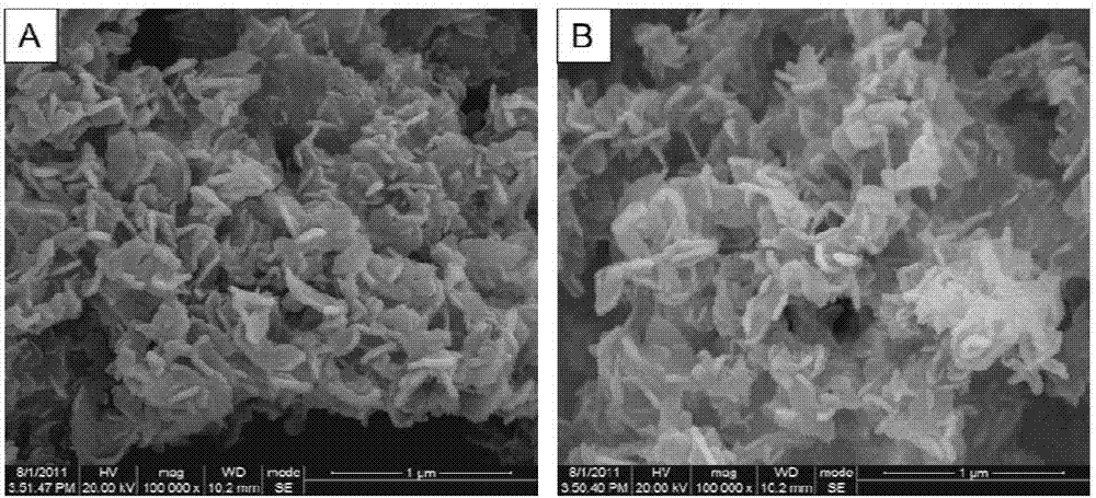 Preparation method of calcium phosphate/gelatin compound material nano particles and application thereof