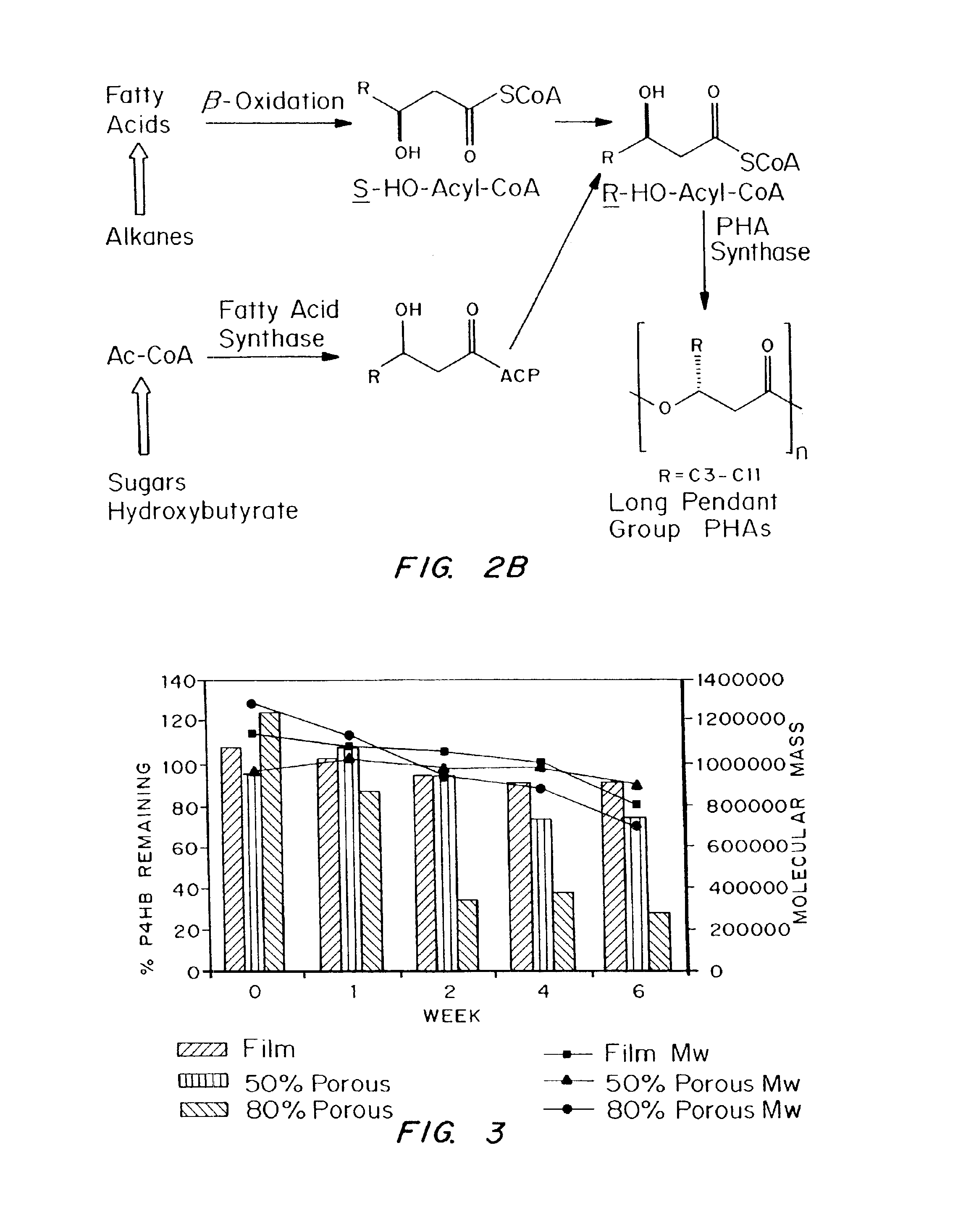 Polyhydroxyalkanoate compositions having controlled degradation rates