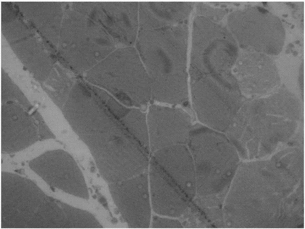 Dyeing method for tissue glycogen