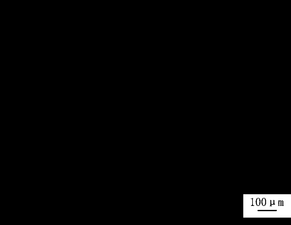 A kind of forging method of 17crnimo6 steel wind power generation gear