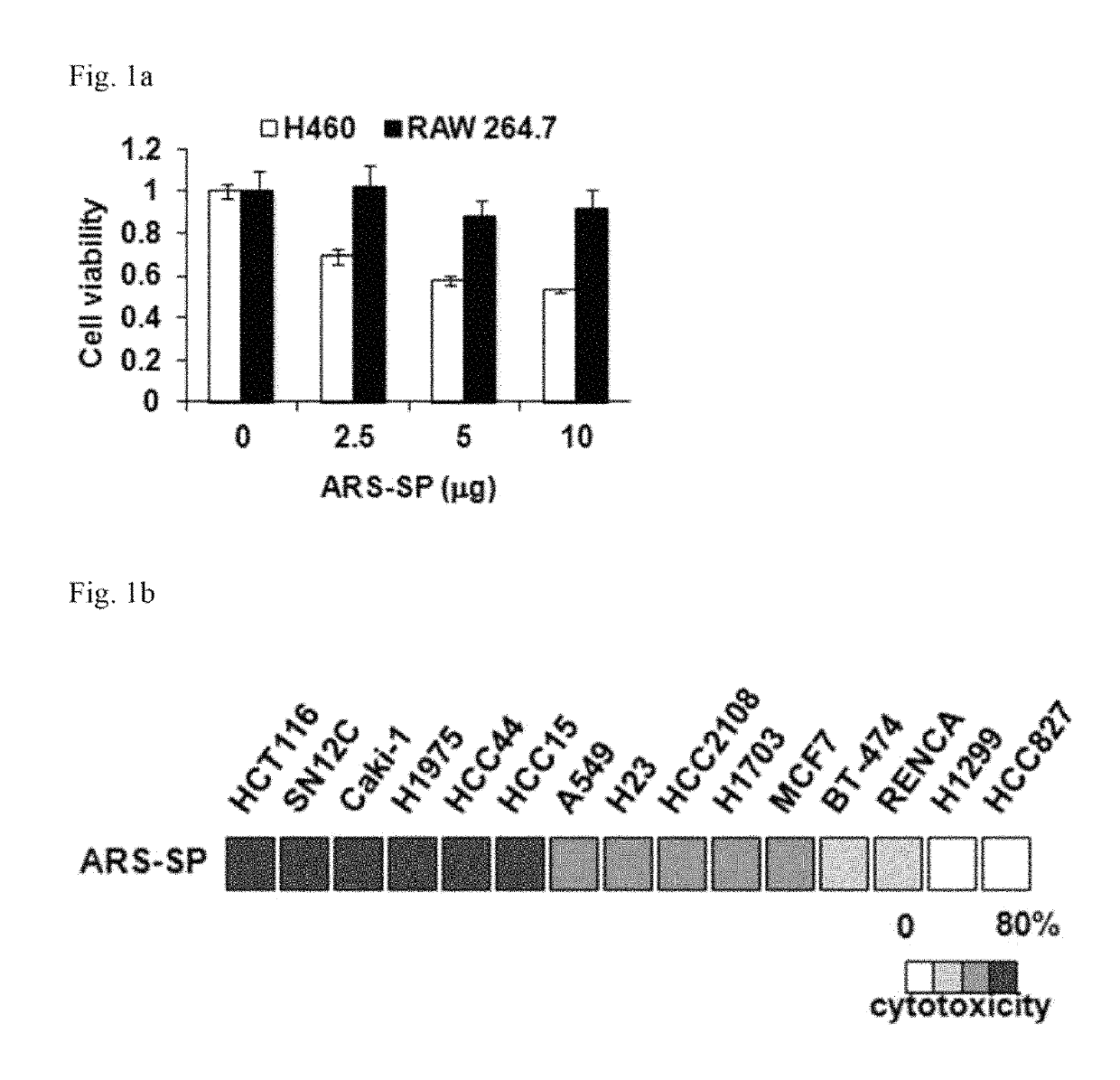 Nanoparticles comprising aminoacyl tRNA synthetase and anticancer composition comprising same