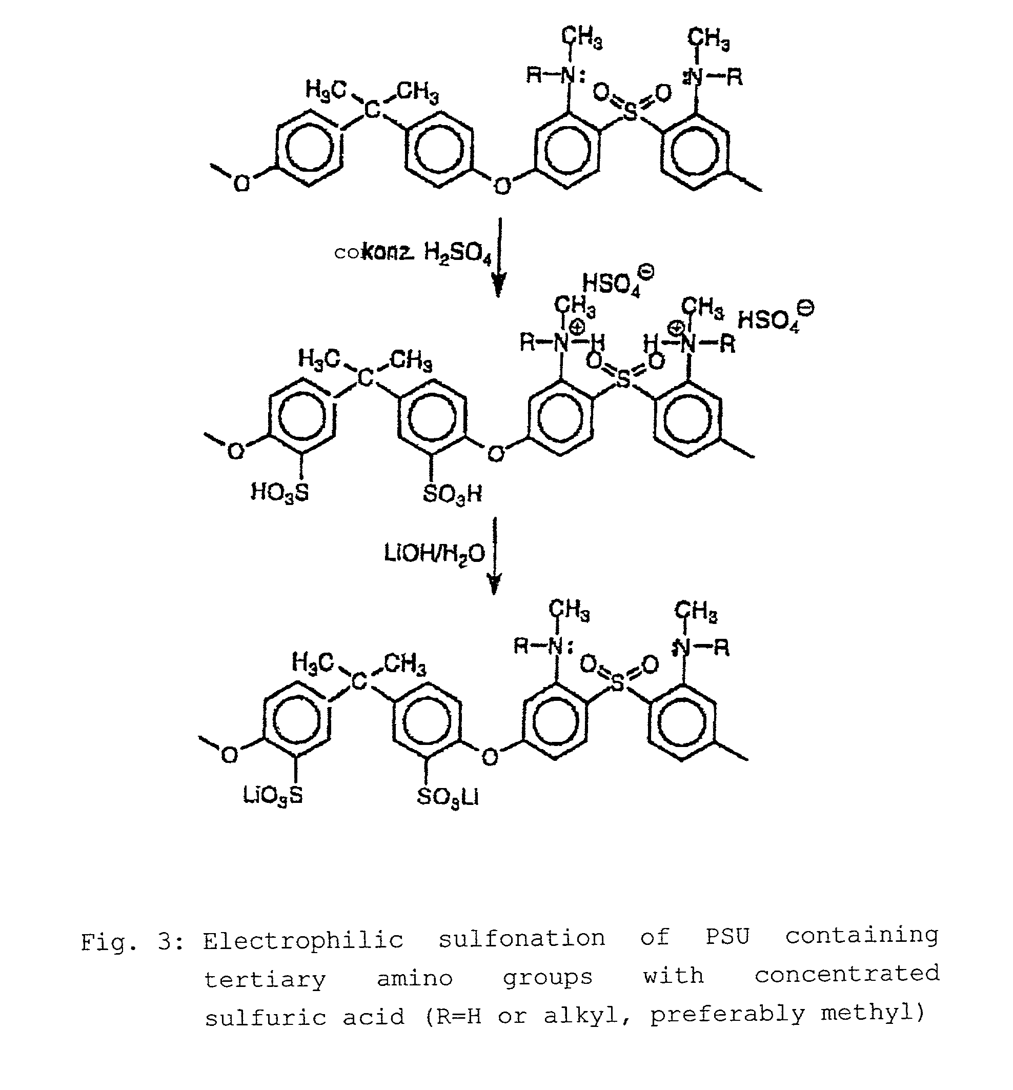 Step-by-step alkylation of polymeric amines