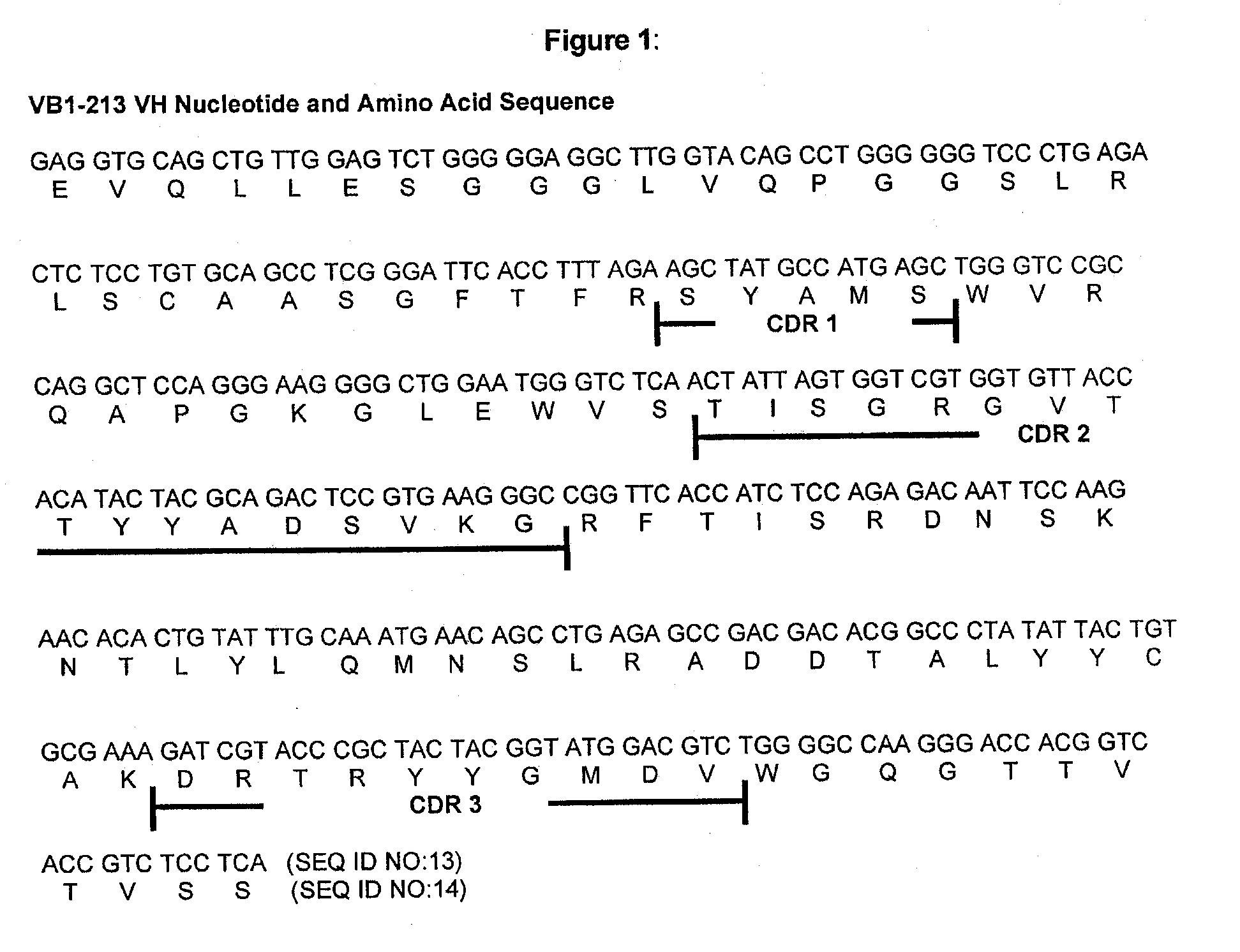Antibodies Against a Cancer-Associated Epitope of Variant HNRNPG and Uses Thereof
