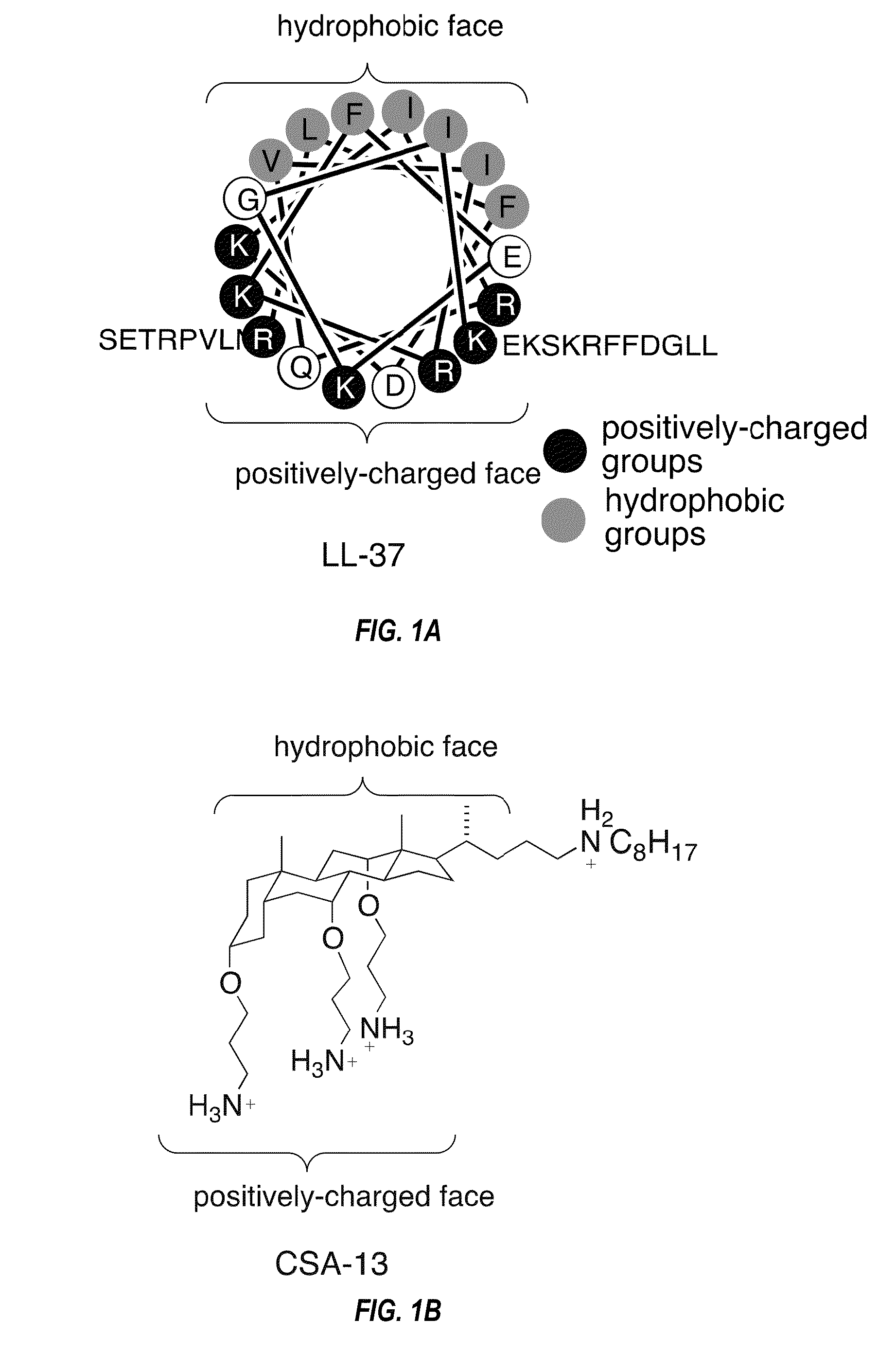 Methods for treating lung infections and inflammation