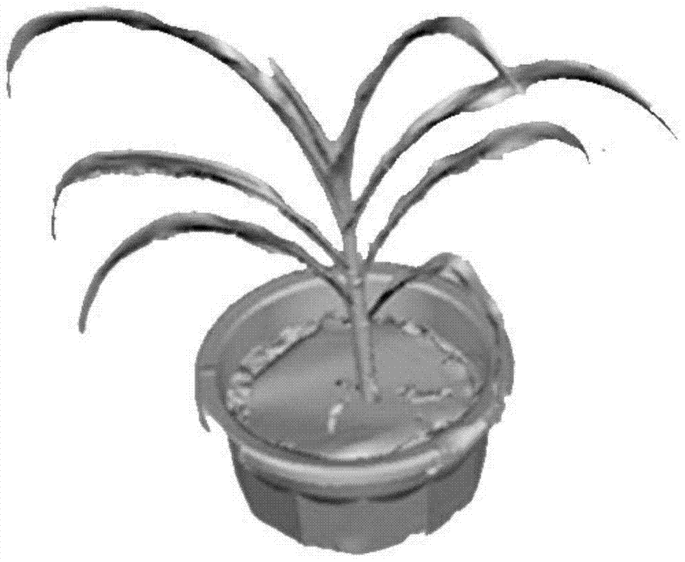 Method of measuring plant morphology by adopting three-dimensional laser scanner way