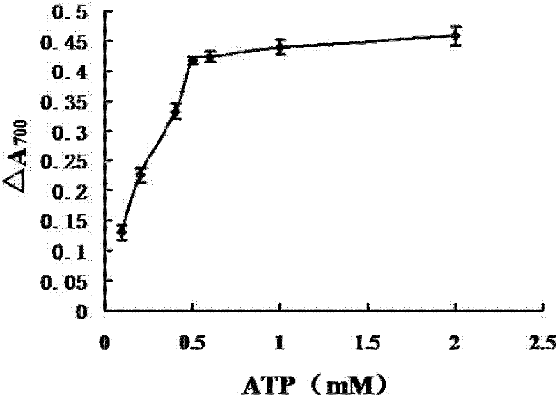 A kind of myosin ATP enzyme activity micro-assay method and its application