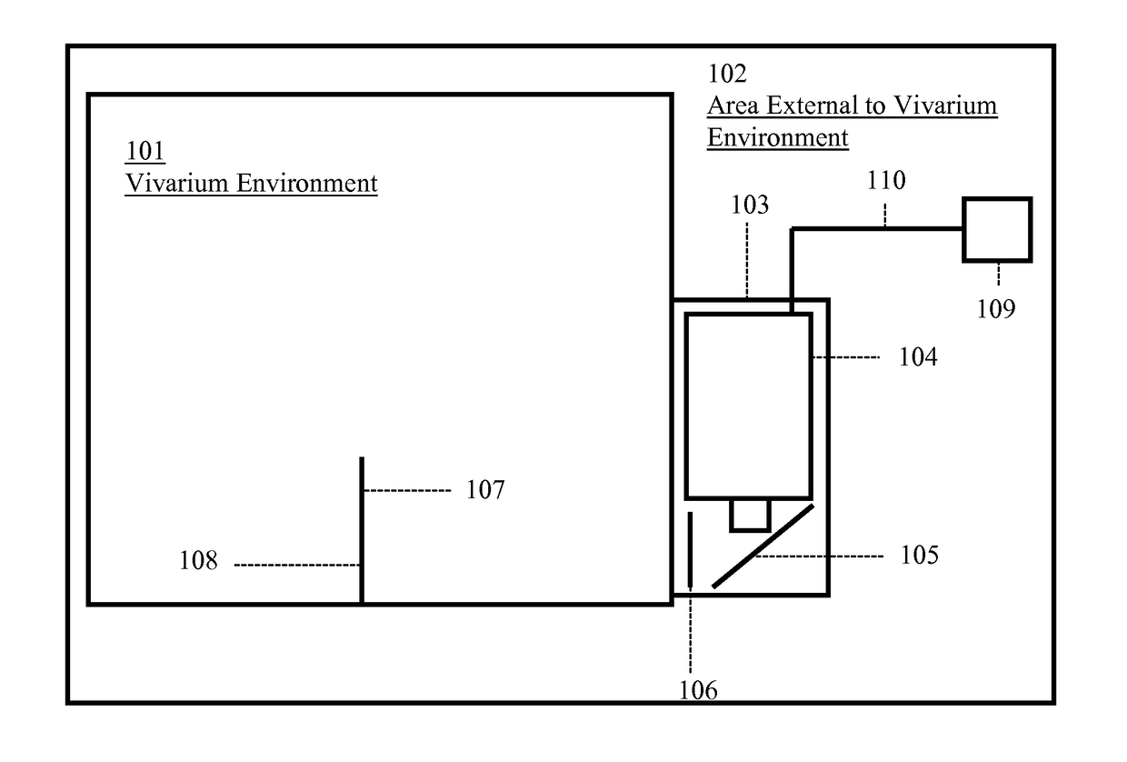 Vivarium dry and liquid projection