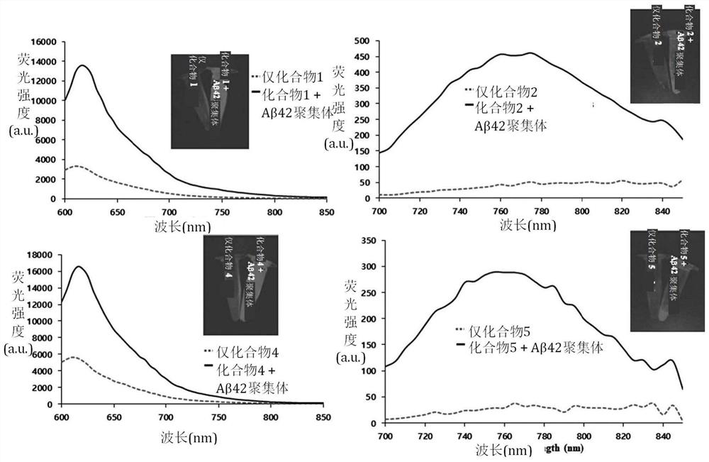 Water-soluble compound for detecting beta-amyloid protein