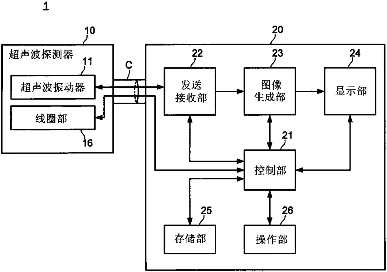 Ultrasonic probe and ultrasonic diagnostic apparatus