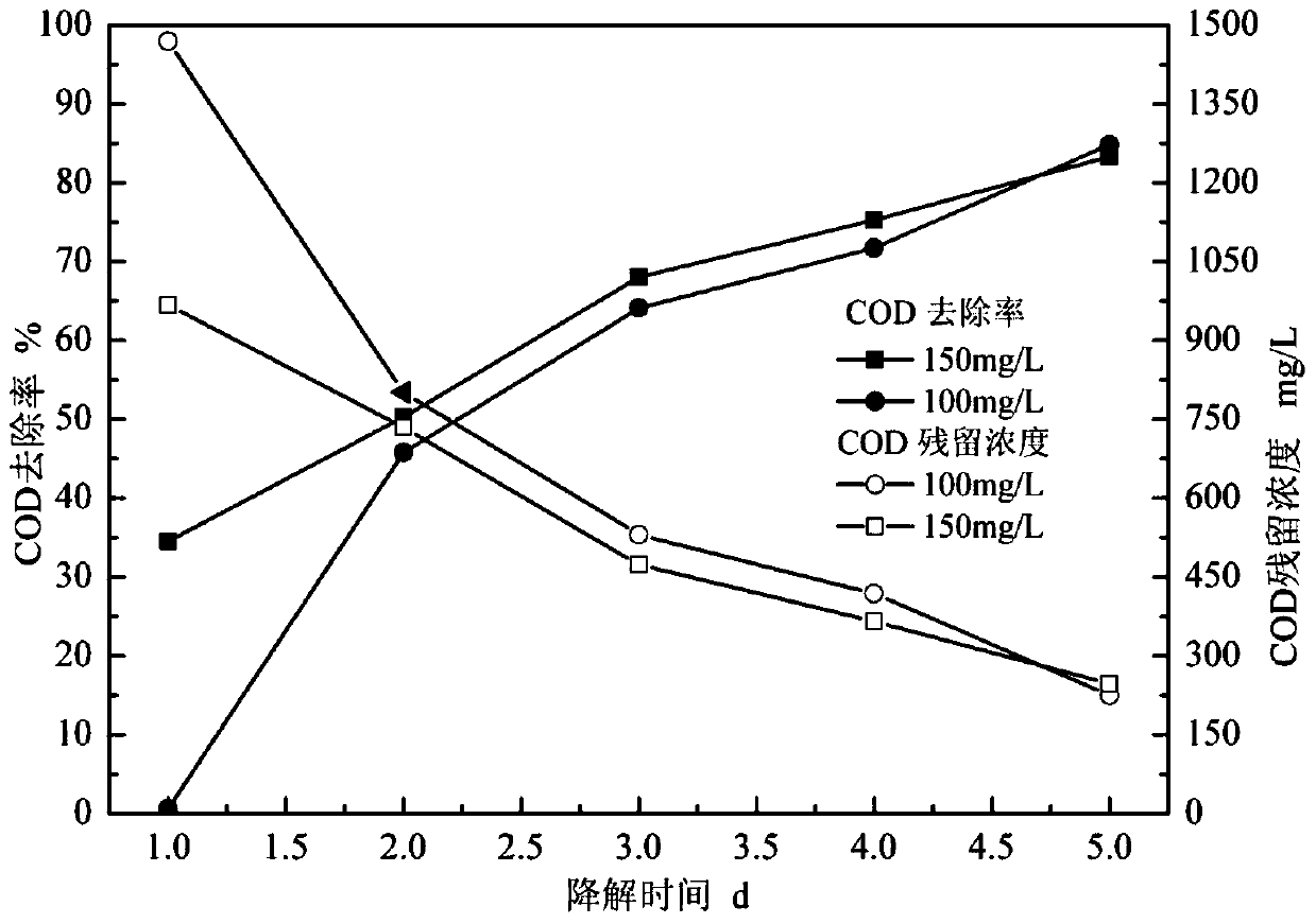 A method for screening electricity-producing functional bacteria capable of degrading chlorophenol, mixed bacteria obtained by screening and application