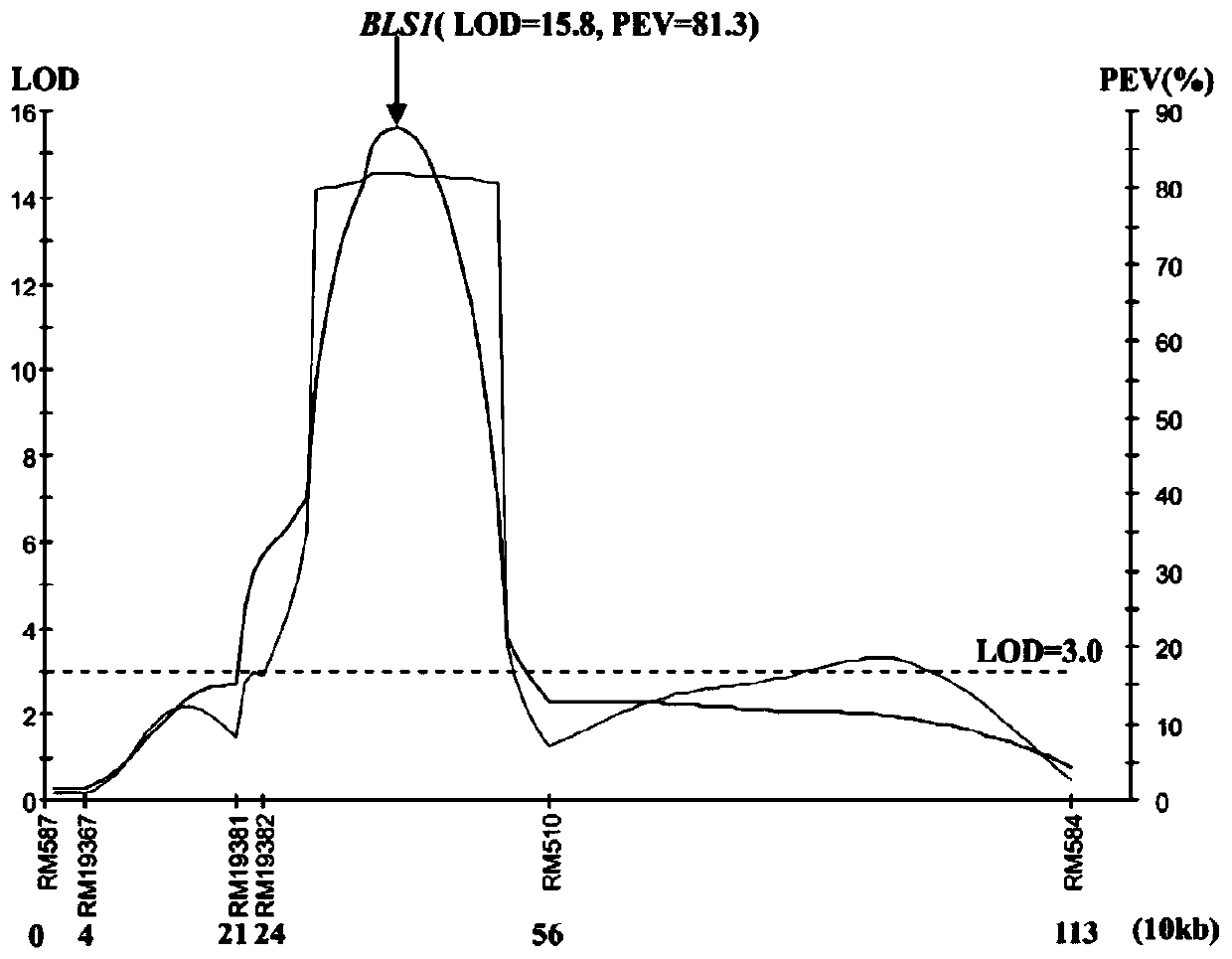 Molecular Marker and Application of Rice Bacterial Spot Resistance Main Gene bls1 Locus