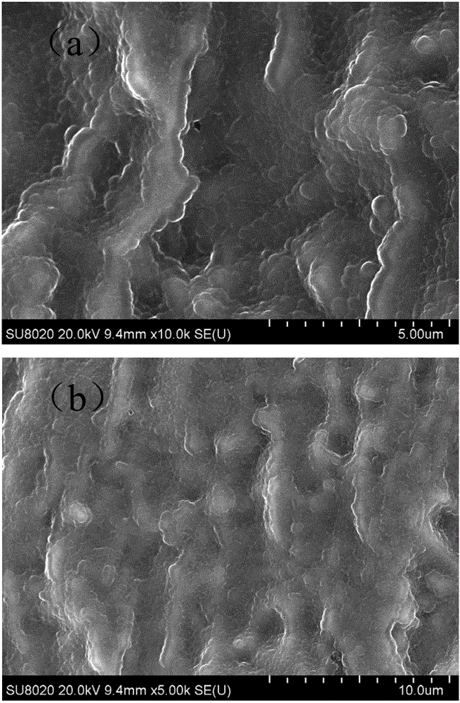 A method for preparing carbon nanotube-modified palladium-loaded electrodes by electrophoresis-pulse deposition