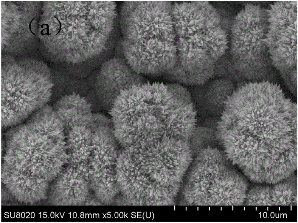 A method for preparing carbon nanotube-modified palladium-loaded electrodes by electrophoresis-pulse deposition