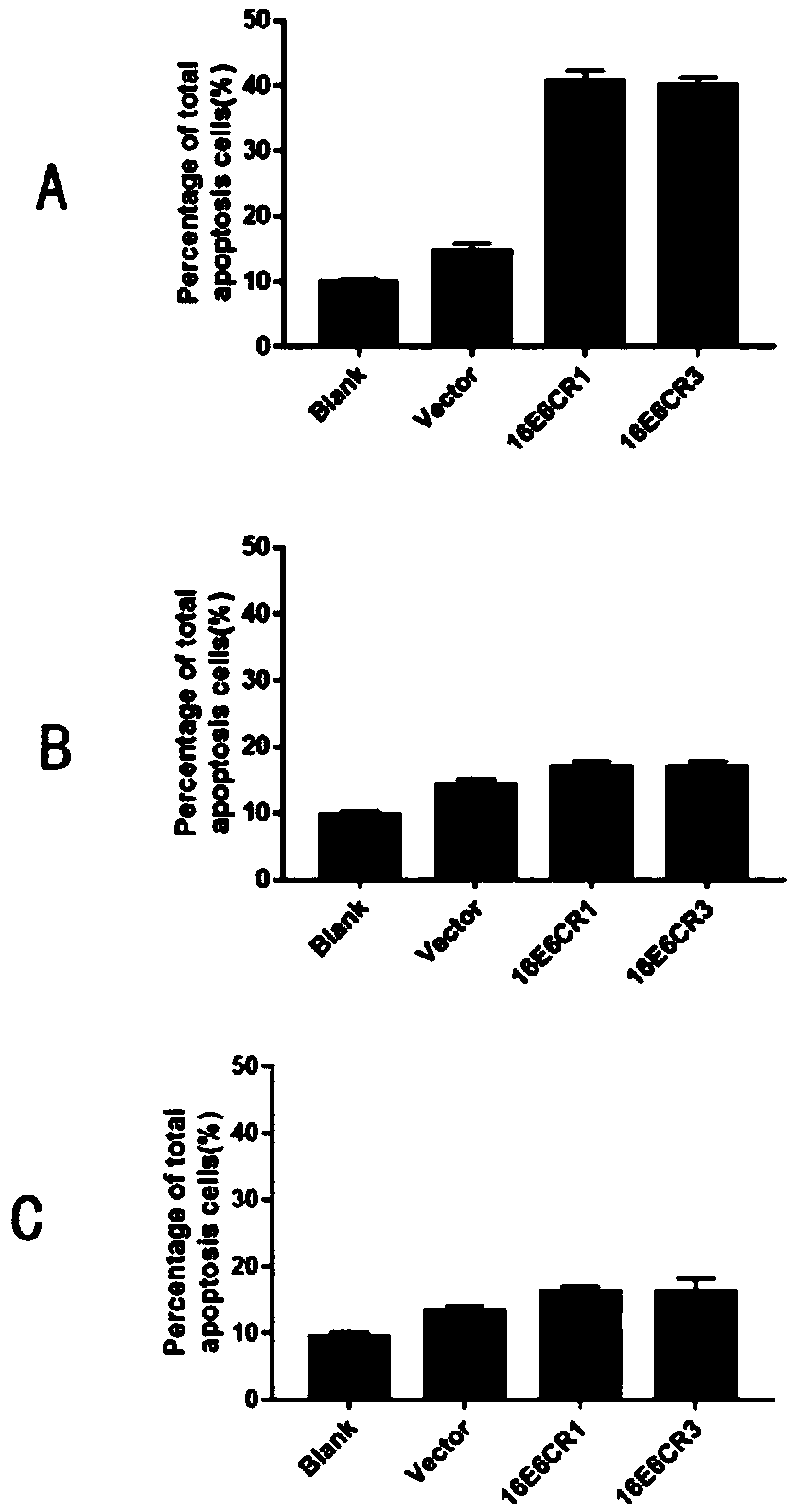 Medicine for treating HPV (human papillomavirus) infection and application thereof