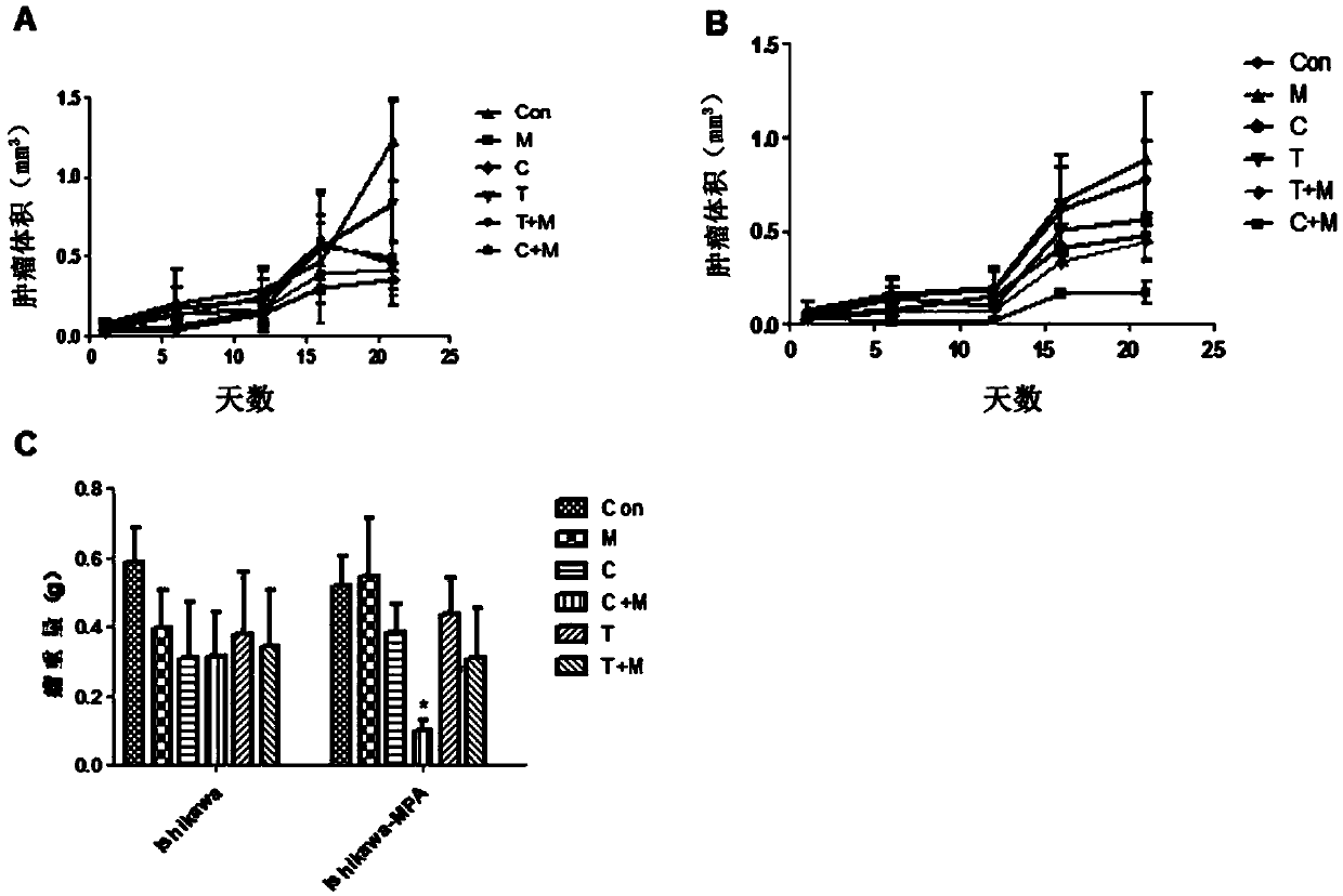 Application of gnrh type Ⅱ antagonists in inhibiting the proliferation of progesterone-resistant endometrial cancer cells