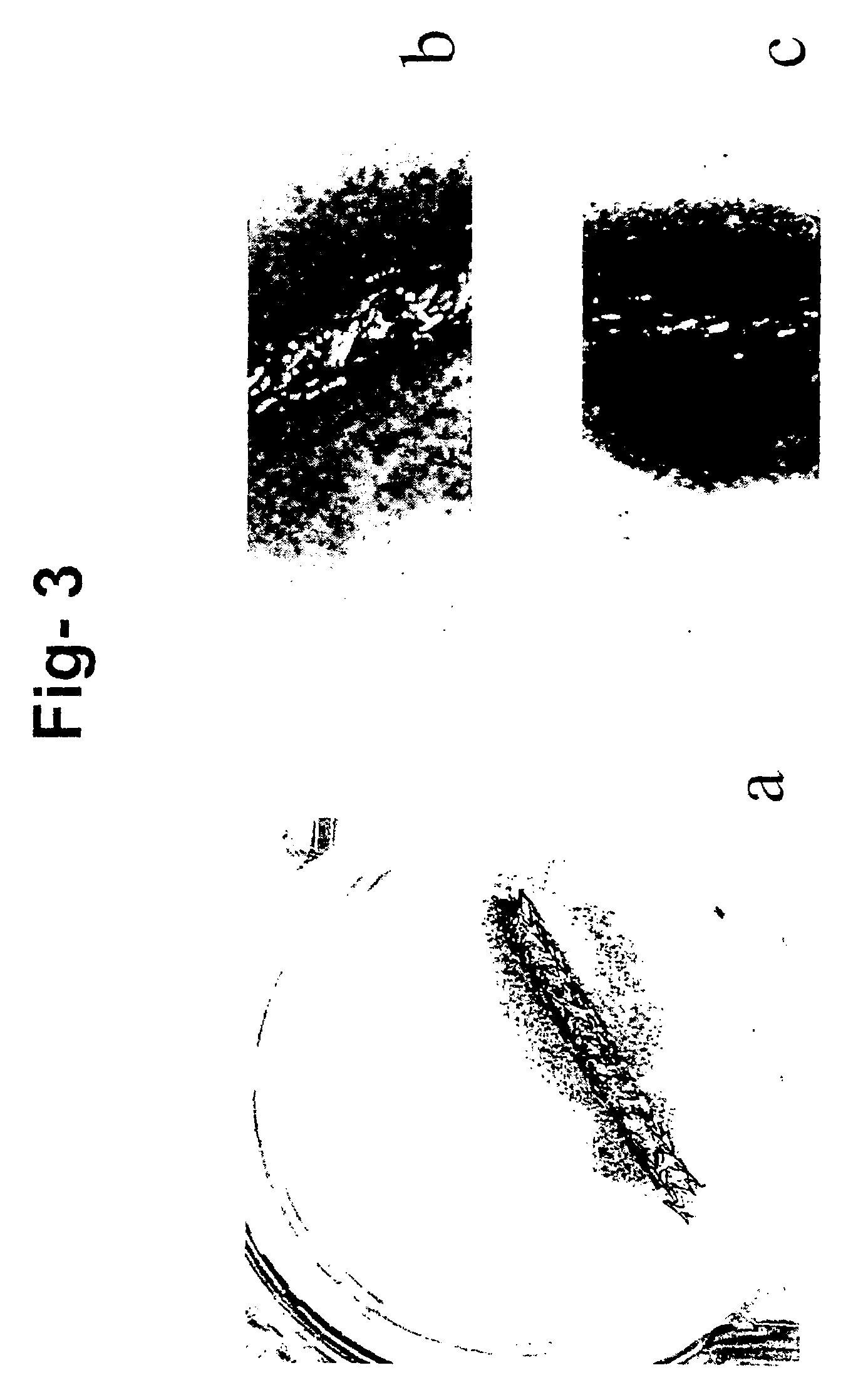 Composition derived from biological materials and method of use and preparation