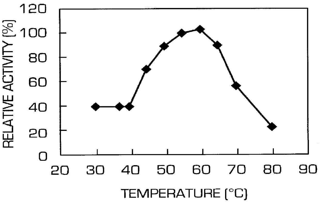 Phytase-producing bacteria