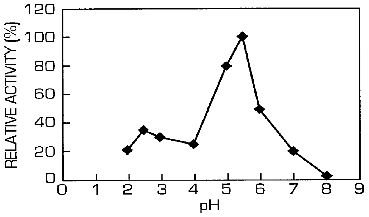 Phytase-producing bacteria