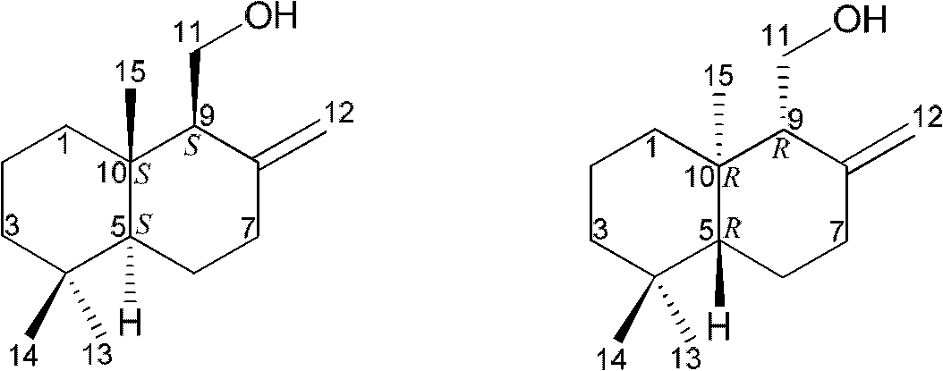 Drimane-type sesquialter terpene cyclohexenone derivative, preparation method thereof and application