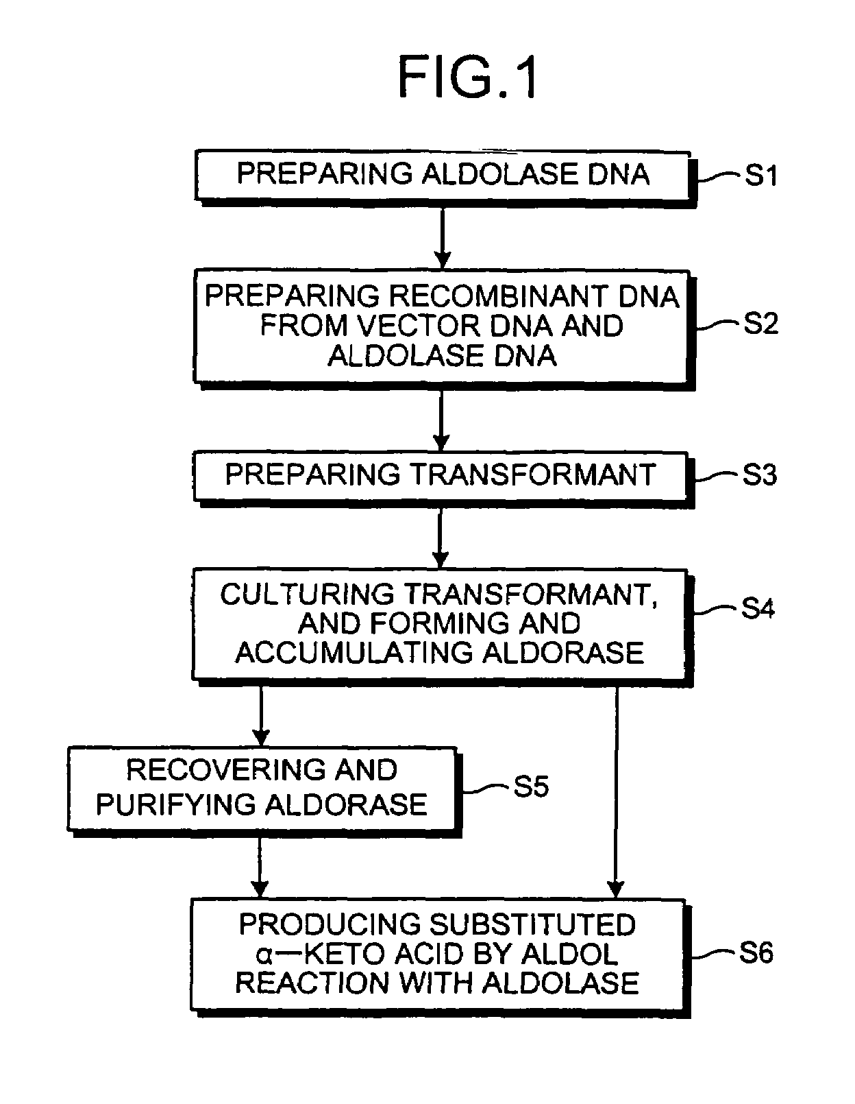 Aldolase and production process of substituted alpha-keto acids