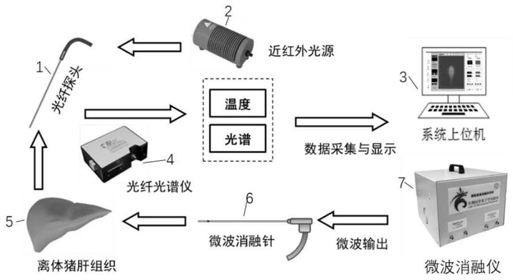 Microwave ablation area defining method based on tissue reduction scattering coefficient