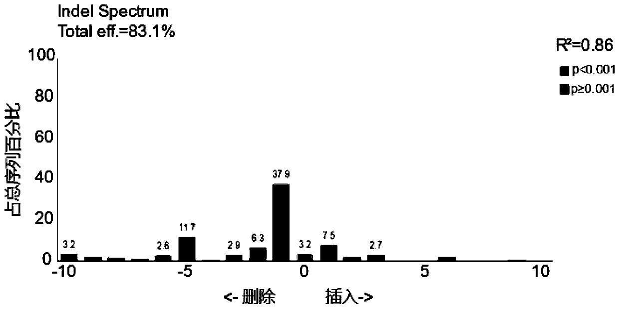 Lentiviral vector for delivering exogenous RNP and preparation method of lentiviral vector