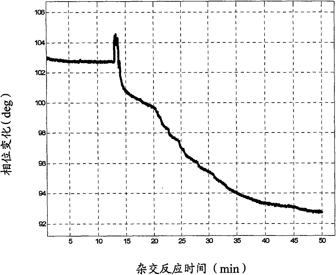 Signal amplifying method of leaky surface acoustic wave-binary peptide nucleic acid biosensor