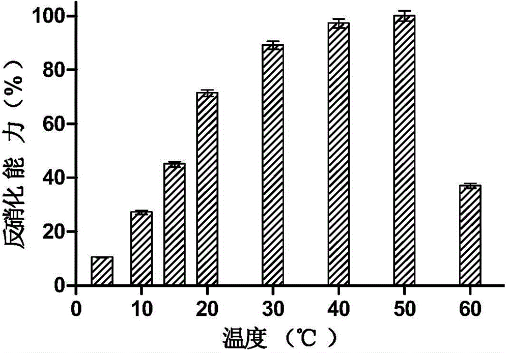 High-temperature-resistant aerobic denitrification bacteria and application of same