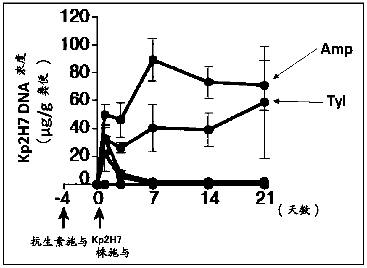 Anti-bacterial composition against Th1 cell-inducing bacteria