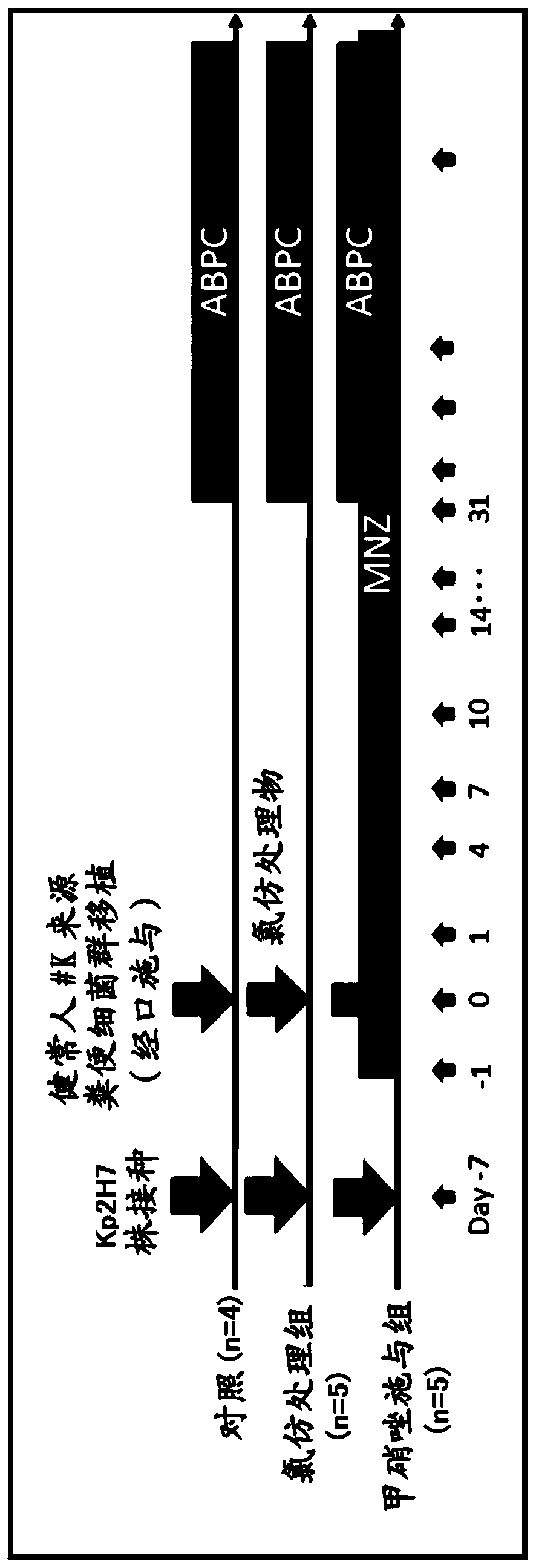 Anti-bacterial composition against Th1 cell-inducing bacteria